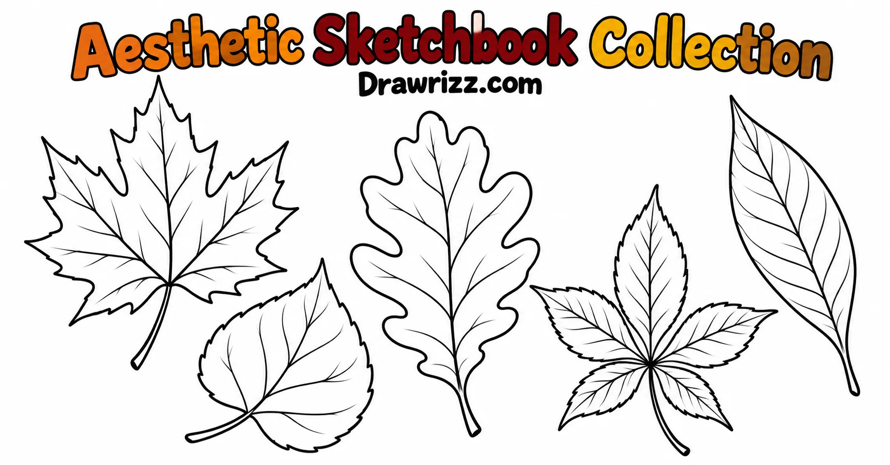 Fall Leaves Drawing Ideas featuring an aesthetic collection of maple, oak and assorted leaf sketches with clean botanical outlines