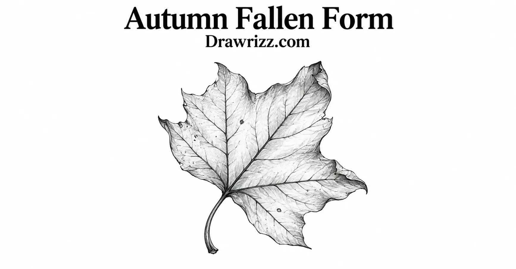 35 Leaf Drawing Ideas for Creative Botanical Sketches Leaf Drawing Ideas featuring an autumn fallen leaf with curled edges, natural veins and detailed black and white botanical sketch.