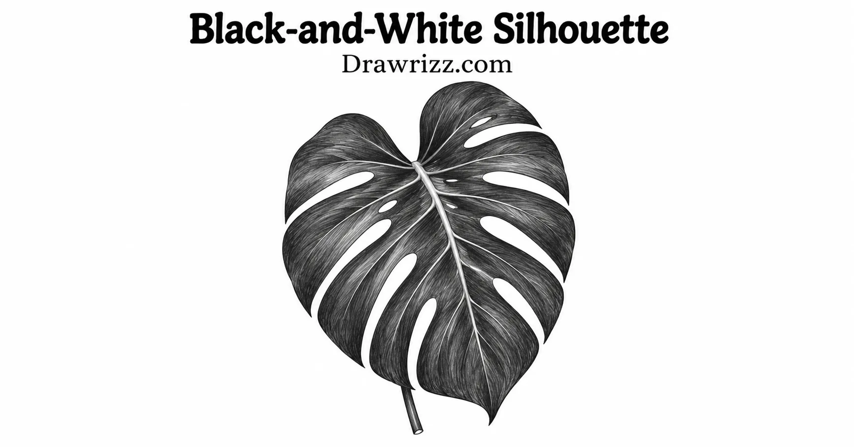 35 Leaf Drawing Ideas for Creative Botanical Sketches Leaf Drawing Ideas featuring a bold black and white monstera silhouette with split edges, cutouts and detailed leaf veins.