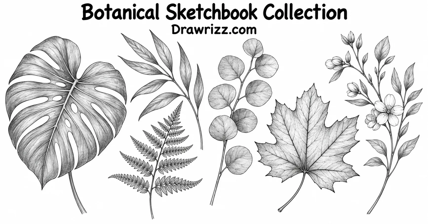 35 Leaf Drawing Ideas for Creative Botanical Sketches Leaf Drawing Ideas featuring a botanical sketchbook collection with monstera, fern, eucalyptus, maple leaf and flowering branches in detailed black-and-white pencil art.