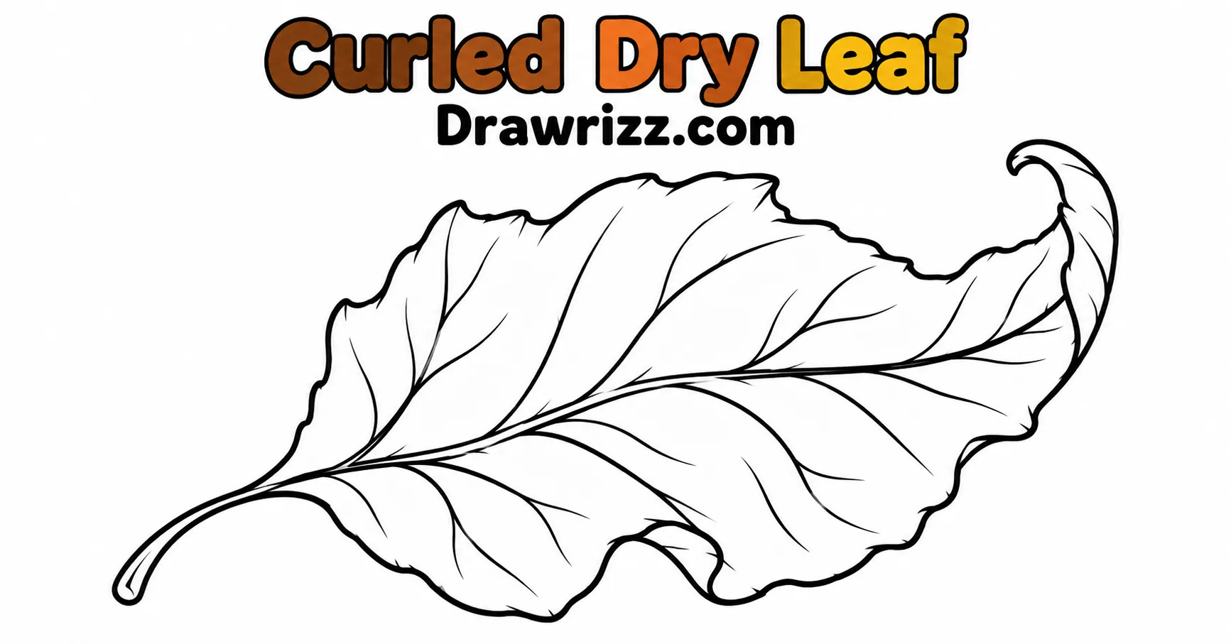 Fall Leaves Drawing Ideas featuring a curled dry leaf with detailed veins and natural edges for an easy autumn sketch and coloring