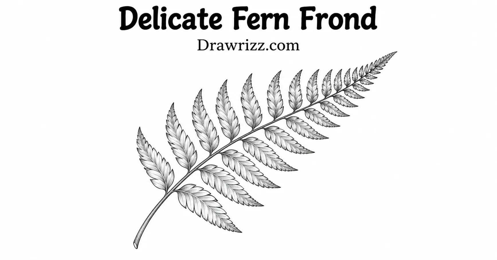 35 Leaf Drawing Ideas for Creative Botanical Sketches Leaf Drawing Ideas featuring a delicate fern frond with curved stem, layered leaflets and detailed black and white botanical art.
