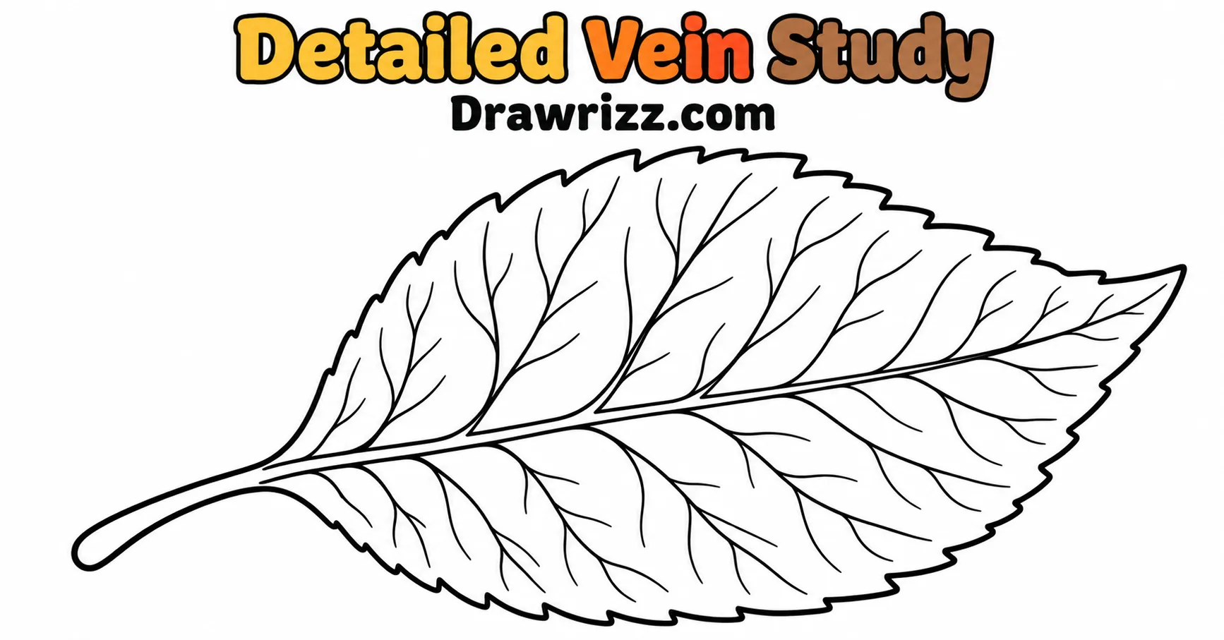 Fall Leaves Drawing Ideas featuring a detailed leaf vein study with clean botanical lines and bold outline for easy autumn sketching