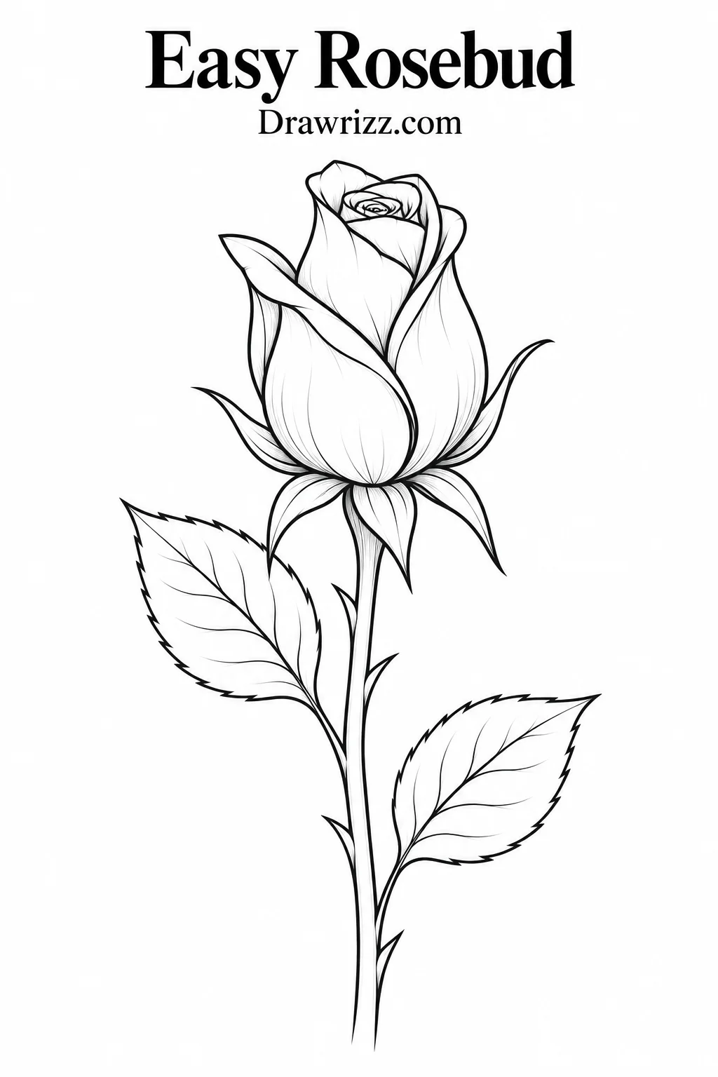 Easy rosebud drawing with elegant folded petals, pointed sepals, a long straight stem and detailed leaves in clean black line art.