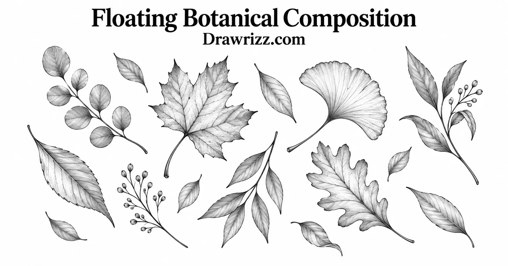 35 Leaf Drawing Ideas for Creative Botanical Sketches Leaf Drawing Ideas featuring a floating botanical composition with maple, oak, ginkgo and varied leaves, delicate branches and buds in detailed black-and-white pencil art.