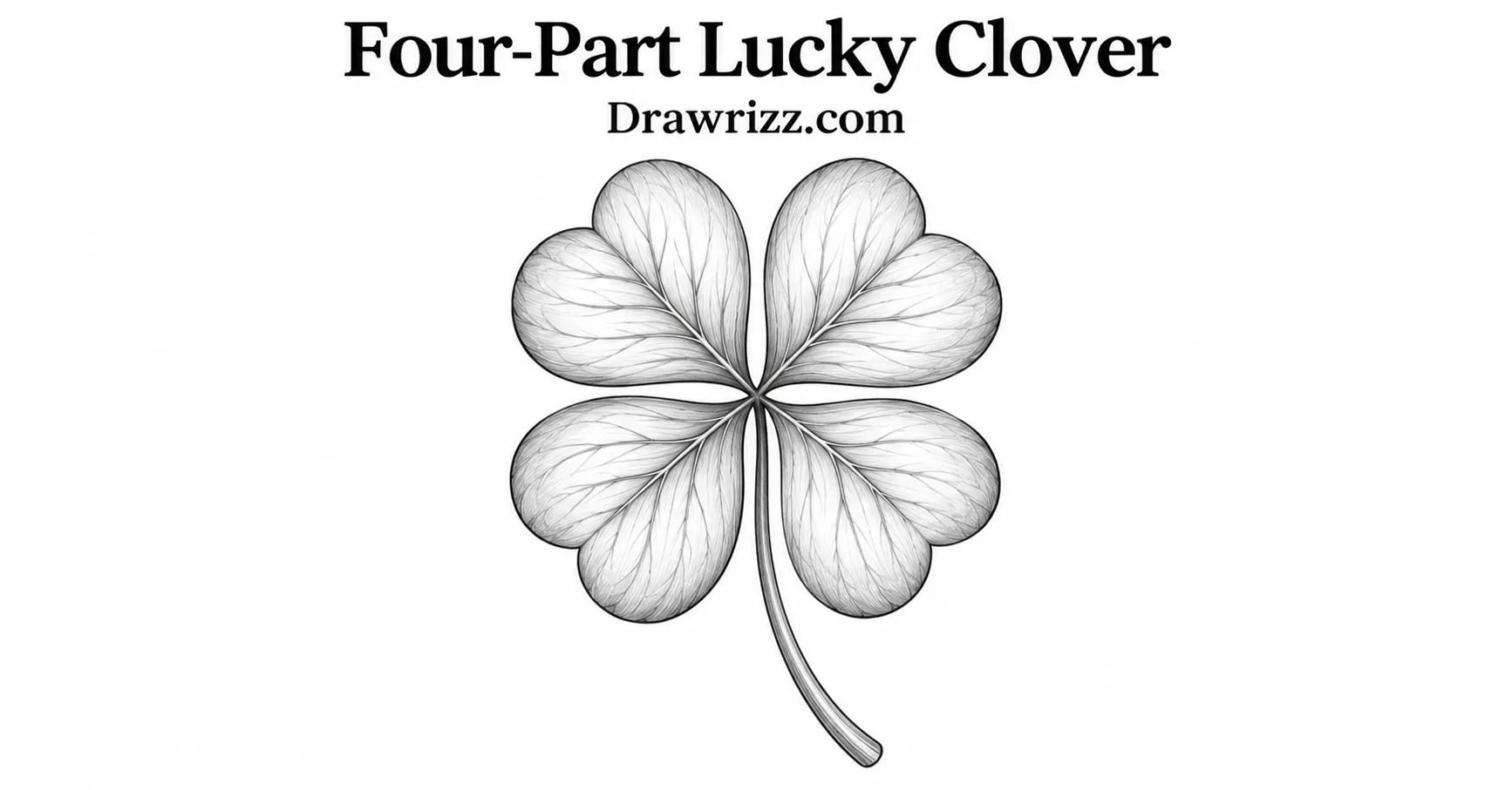 35 Leaf Drawing Ideas for Creative Botanical Sketches Leaf Drawing Ideas featuring a four-leaf lucky clover with heart-shaped leaves, fine pencil veins and a gently curved stem.