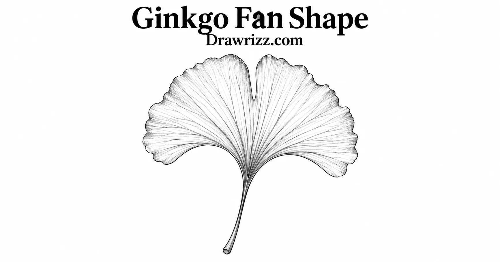 35 Leaf Drawing Ideas for Creative Botanical Sketches Leaf Drawing Ideas featuring a ginkgo fan-shaped leaf with rippled edges, radiating veins and elegant black and white pencil art.