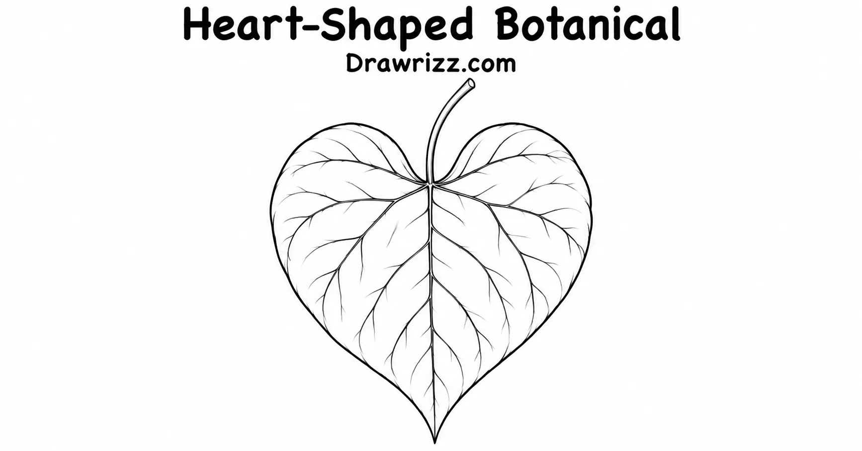 35 Leaf Drawing Ideas for Creative Botanical Sketches Leaf Drawing Ideas featuring a heart-shaped botanical leaf with smooth edges, delicate veins and clean black and white line art.