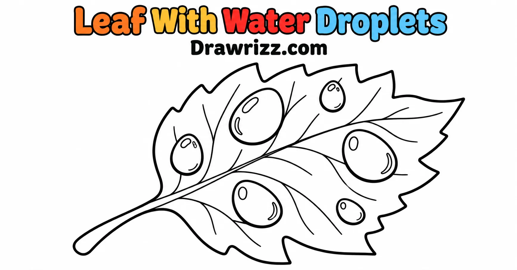 Fall Leaves Drawing Ideas featuring a simple autumn leaf with water droplets, bold outlines and clear veins for easy coloring