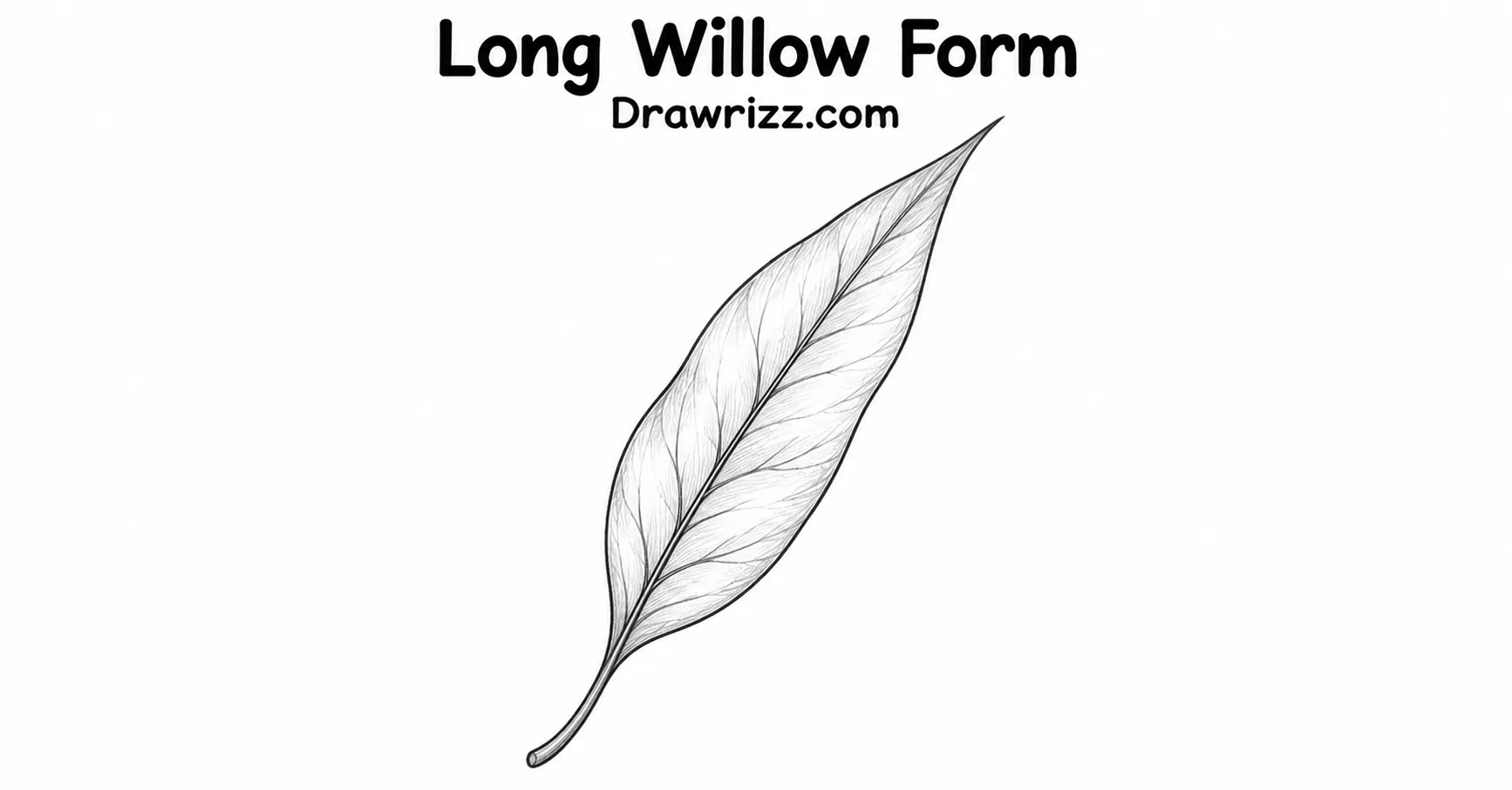 35 Leaf Drawing Ideas for Creative Botanical Sketches Leaf Drawing Ideas featuring a long willow leaf with slender pointed shape, fine veins and elegant black and white botanical sketch