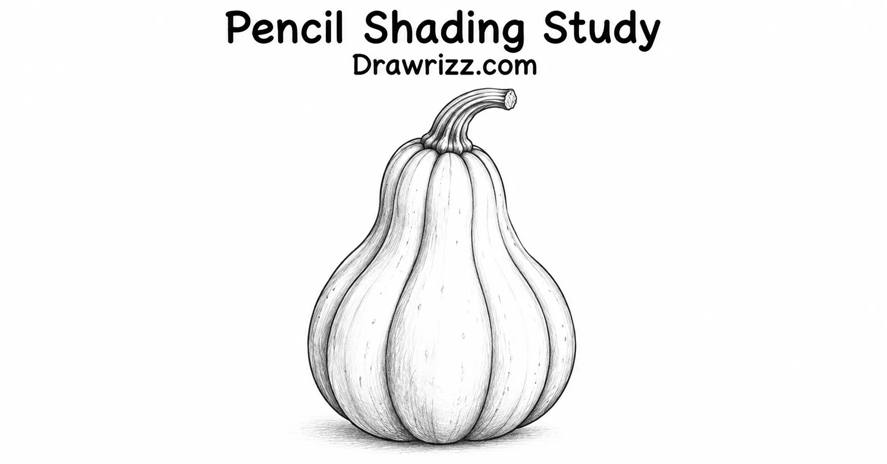 Pumpkin Drawing Ideas featuring a realistic pencil shading study with soft graphite texture, curved ribs, and a detailed stem.
