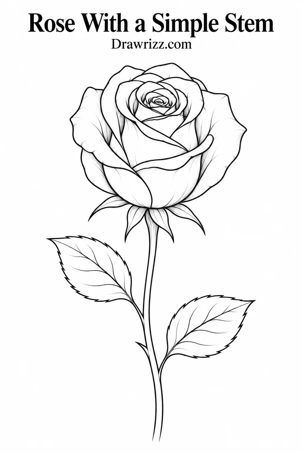 Rose with a simple stem drawing featuring layered petals, two detailed leaves and clean black line art for easy sketch inspiration.