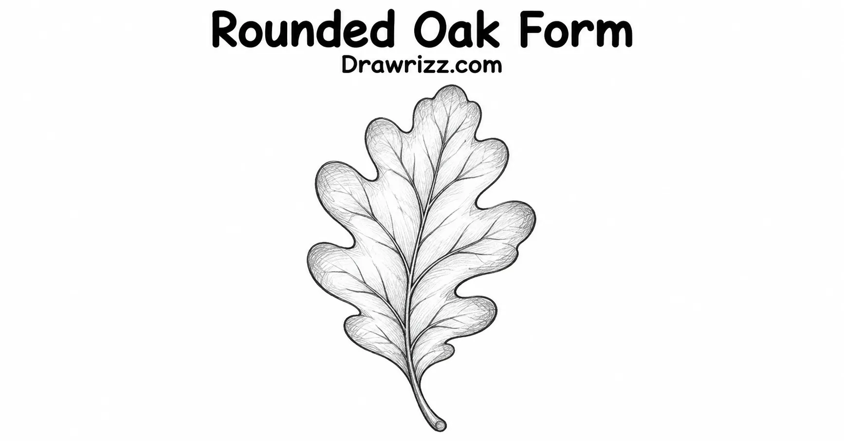 35 Leaf Drawing Ideas for Creative Botanical Sketches Leaf Drawing Ideas featuring a rounded oak leaf with curved lobes, natural veins and detailed black and white botanical line art.