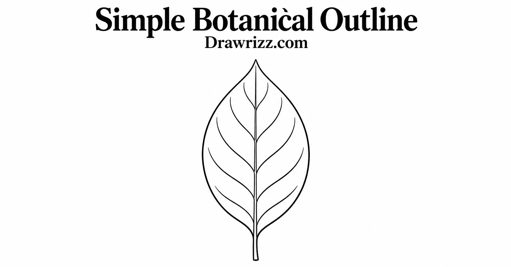 35 Leaf Drawing Ideas for Creative Botanical Sketches Leaf Drawing Ideas featuring a simple botanical leaf outline with clean veins, pointed shape and easy black and white line art.
