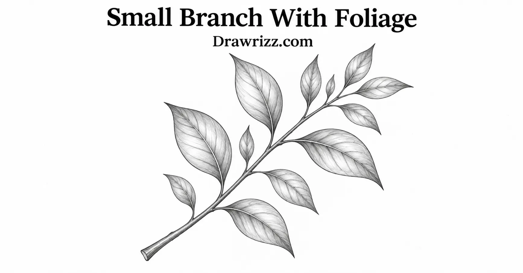 35 Leaf Drawing Ideas for Creative Botanical Sketches Leaf Drawing Ideas featuring a small branch with foliage, pointed leaves, fine veins and detailed black and white botanical sketch
