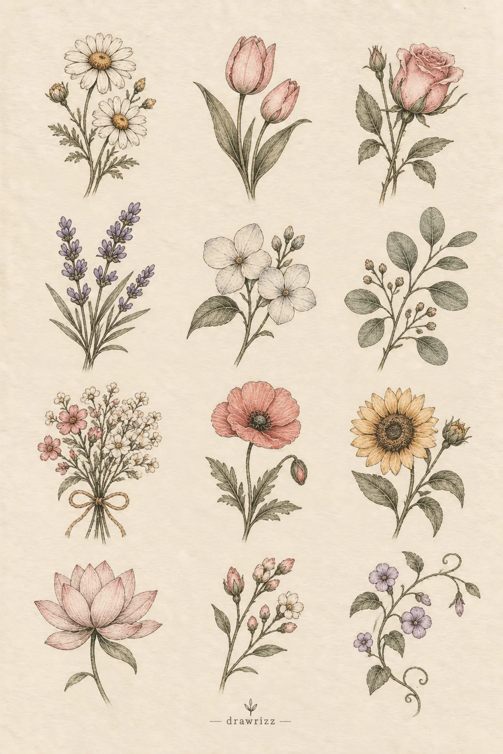 Small Flower Drawing Ideas featuring a charming collection of daisies, tulips, roses, lavender, poppies, sunflowers, lotus flowers, delicate blossoms, leafy stems, and mini floral bouquets in a soft vintage botanical sketch style.