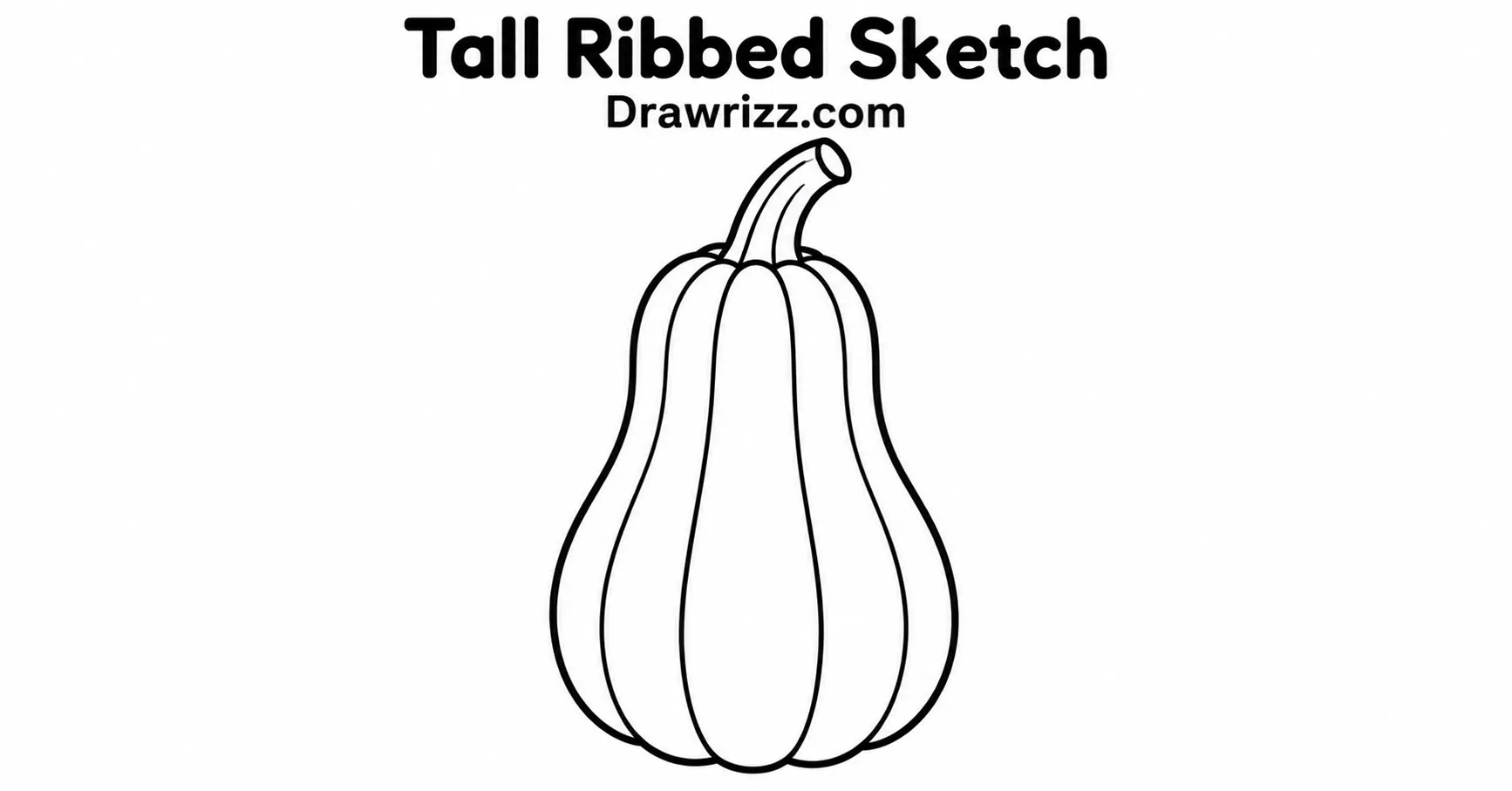 Pumpkin Drawing Ideas featuring a tall ribbed shape with clean curved sections, a long stem, and simple beginner-friendly lines.