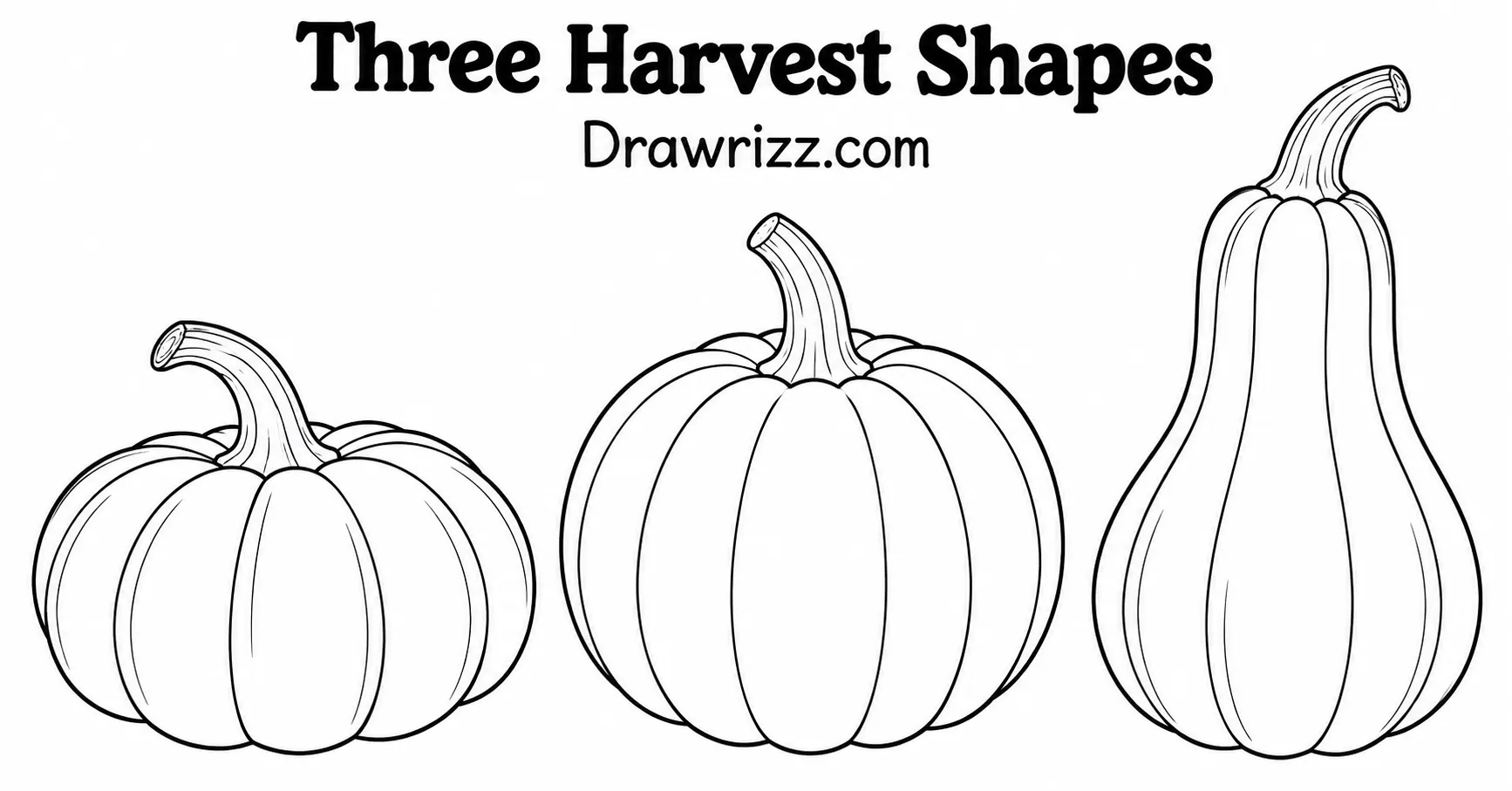 Pumpkin Drawing Ideas featuring three harvest shapes with round, wide, and tall forms, curved ribs, stems, and clean outlines.