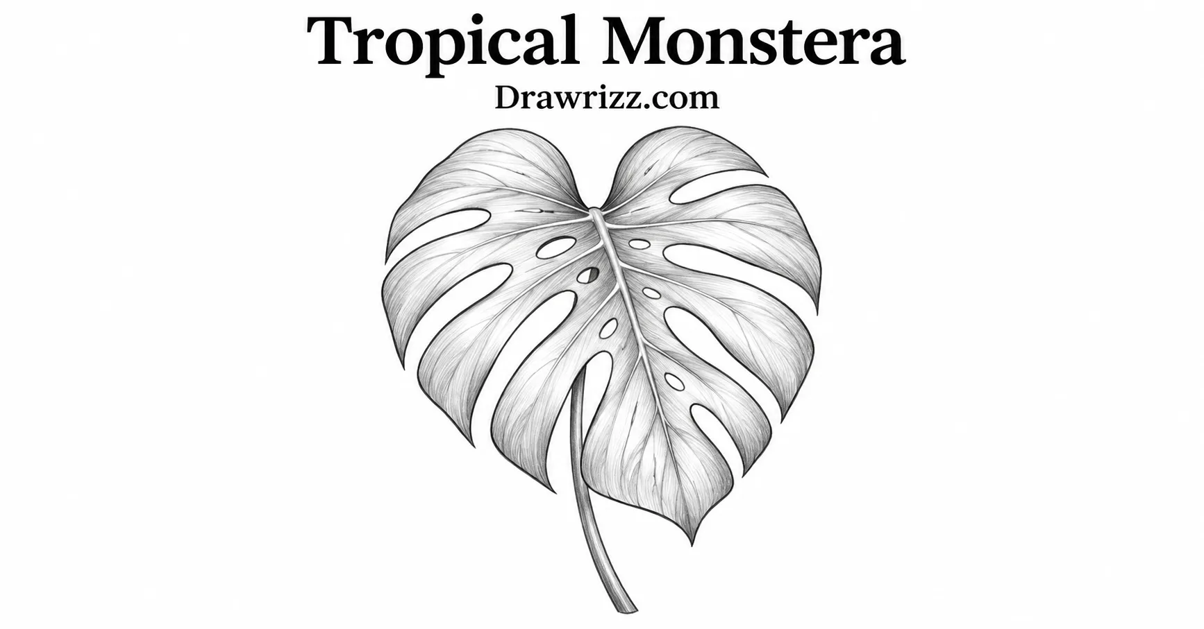 35 Leaf Drawing Ideas for Creative Botanical Sketches Leaf Drawing Ideas featuring a tropical monstera leaf with split edges, natural veins and detailed black and white botanical art.