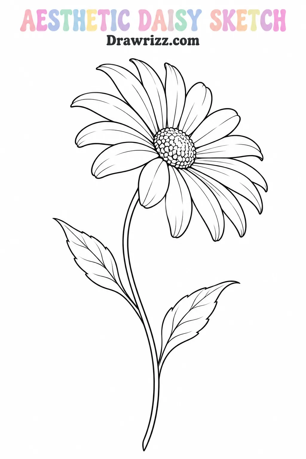 Daisy Drawing Ideas featuring an elegant daisy sketch with slender petals, a curved stem and two leaves in black outline art.
