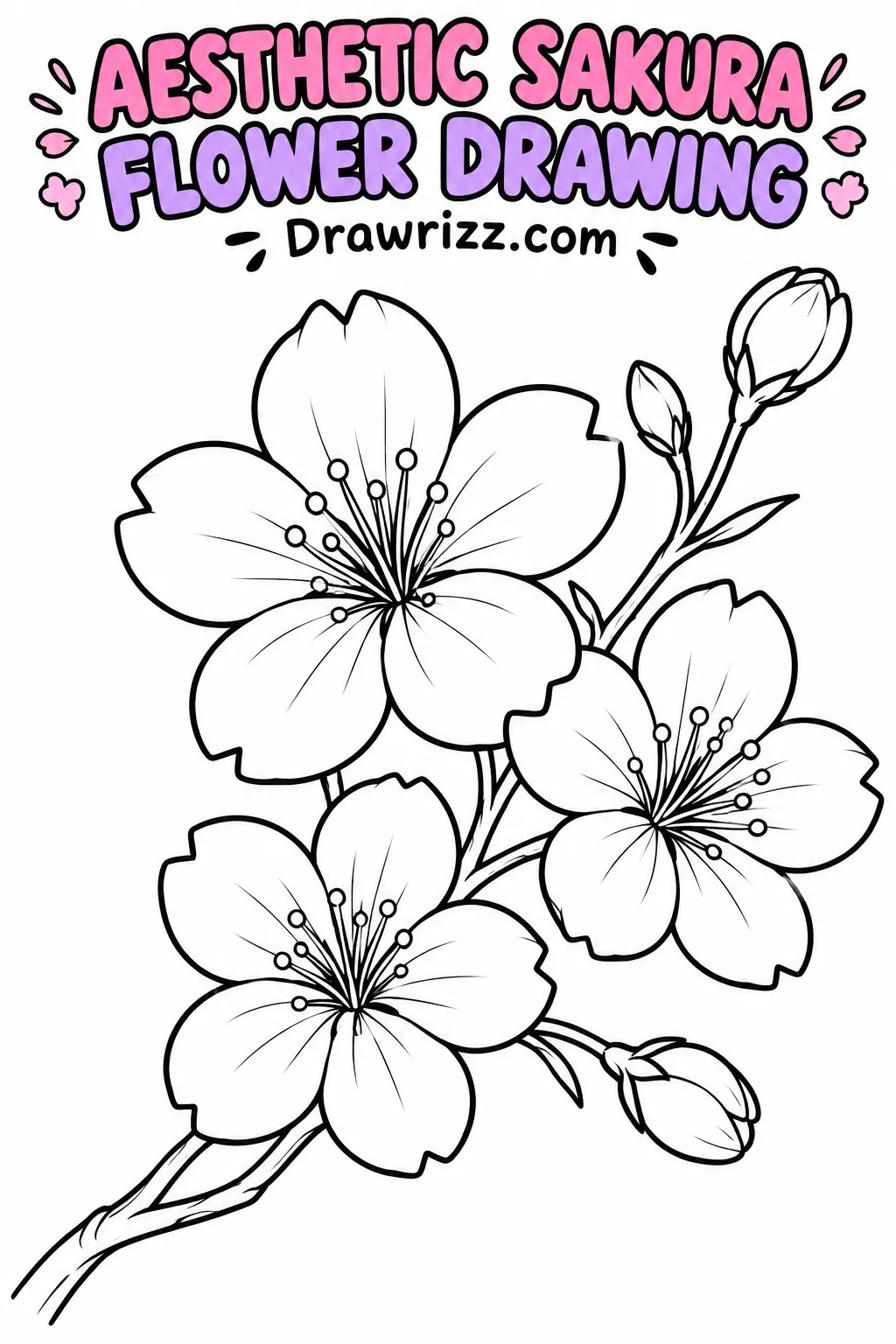 Cherry Blossom Drawing Ideas featuring three elegant sakura flowers on a curved branch with buds, printable botanical line art.