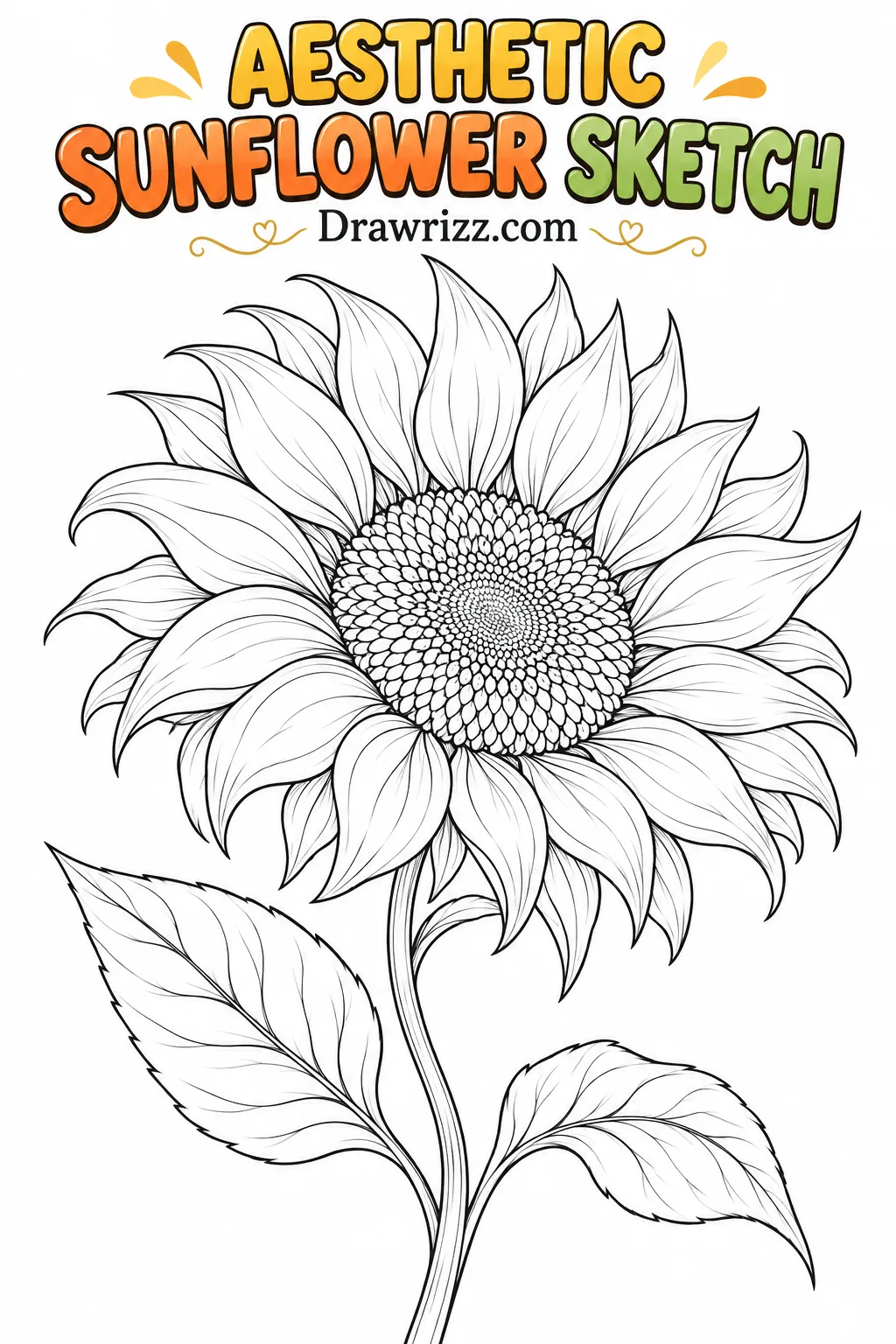 Sunflower drawing ideas featuring a floral sketch with delicate petals, patterned center, curved stem and pointed leaves. Art.