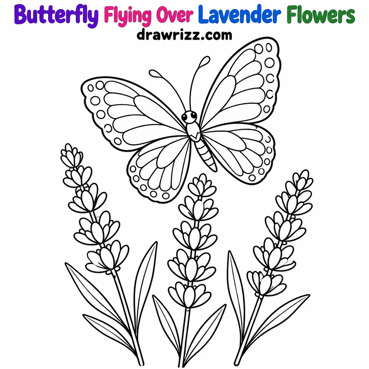 15 Lavender Drawing Ideas for Easy and Cute Flowers Lavender Drawing Ideas featuring a butterfly with patterned wings flying above three lavender stems in a simple coloring page