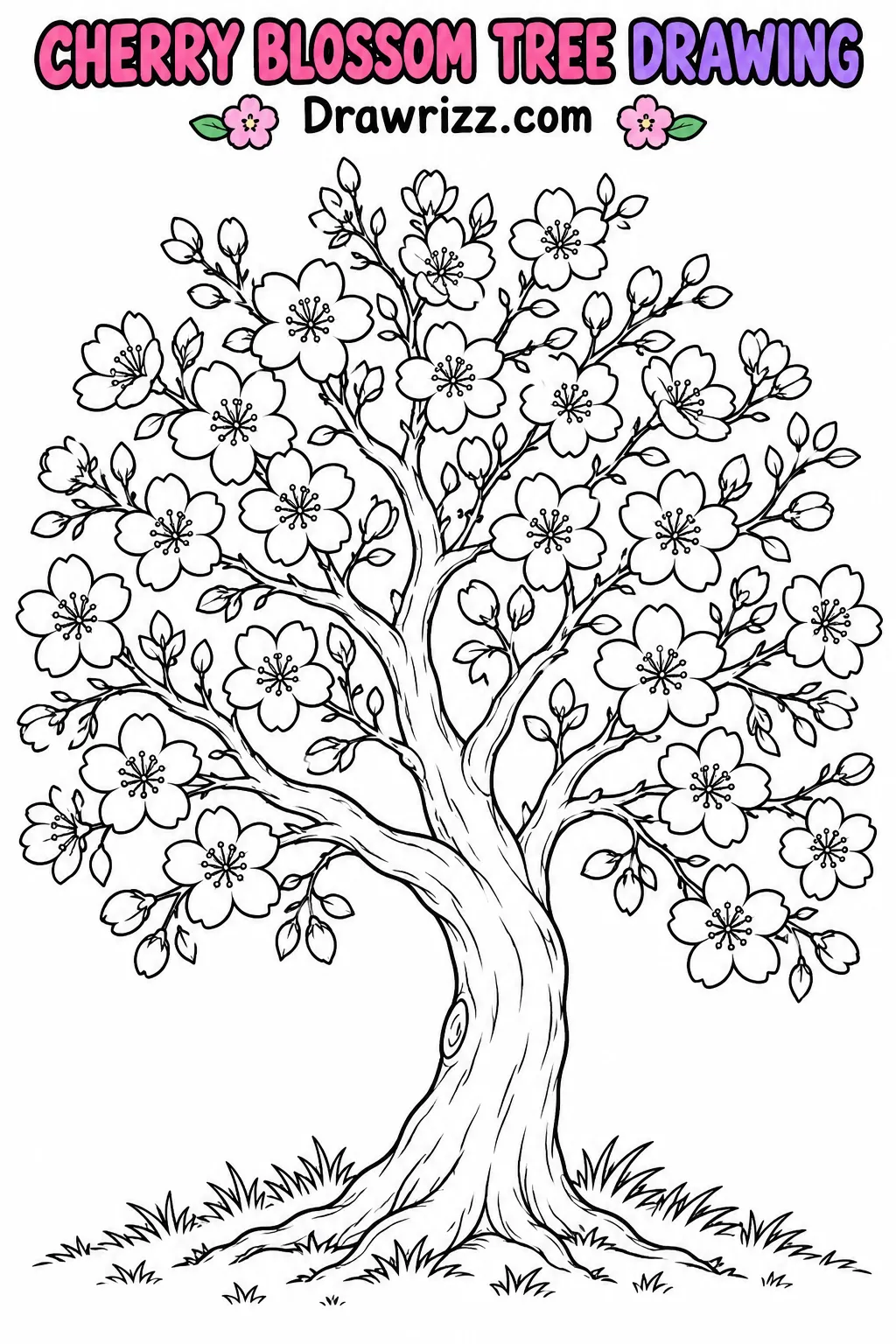 Cherry Blossom Drawing Ideas featuring a blooming sakura tree with detailed branches, five-petal flowers and coloring outlines