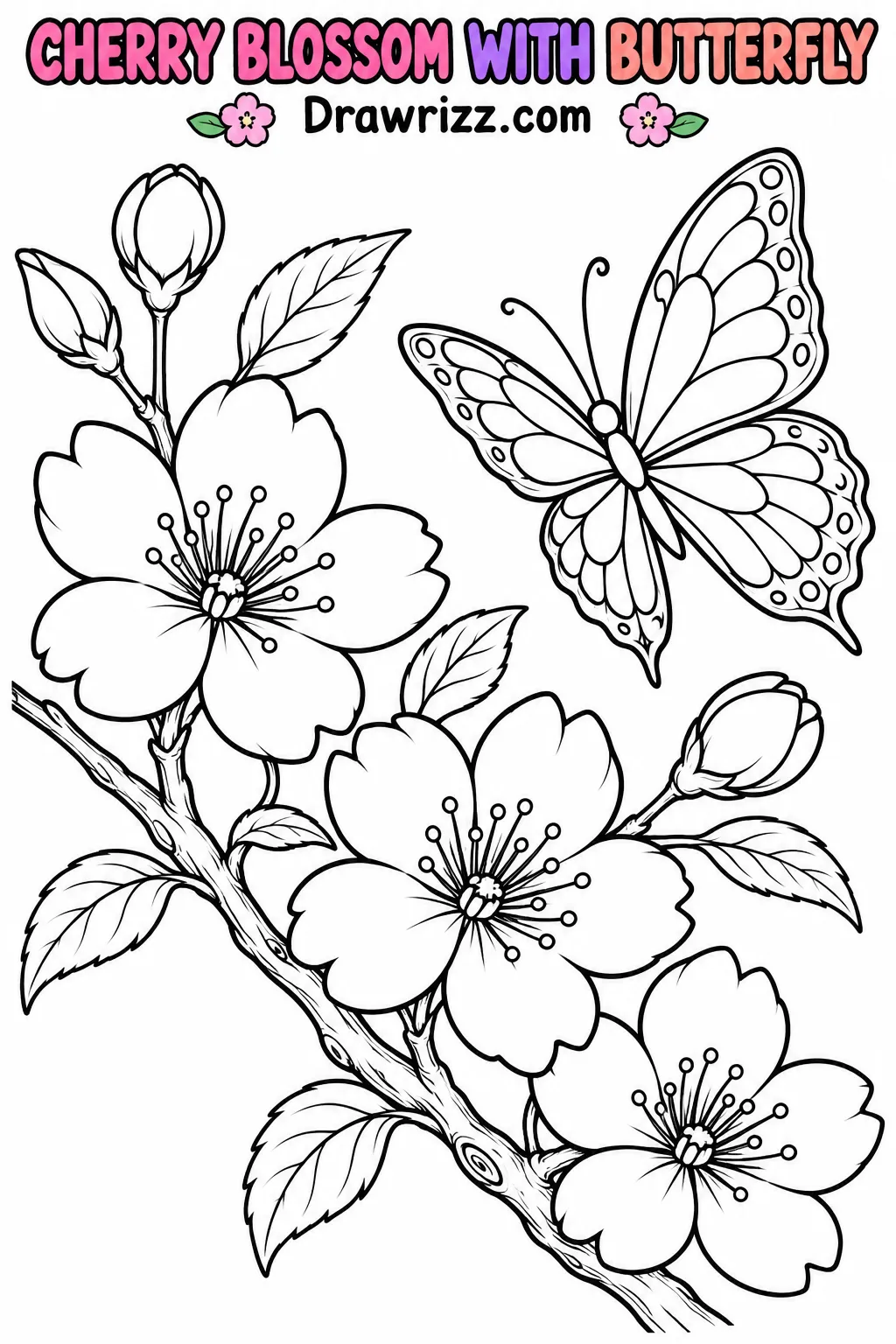 Cherry Blossom Drawing Ideas featuring three sakura flowers, two buds and a butterfly in printable black-and-white line art.