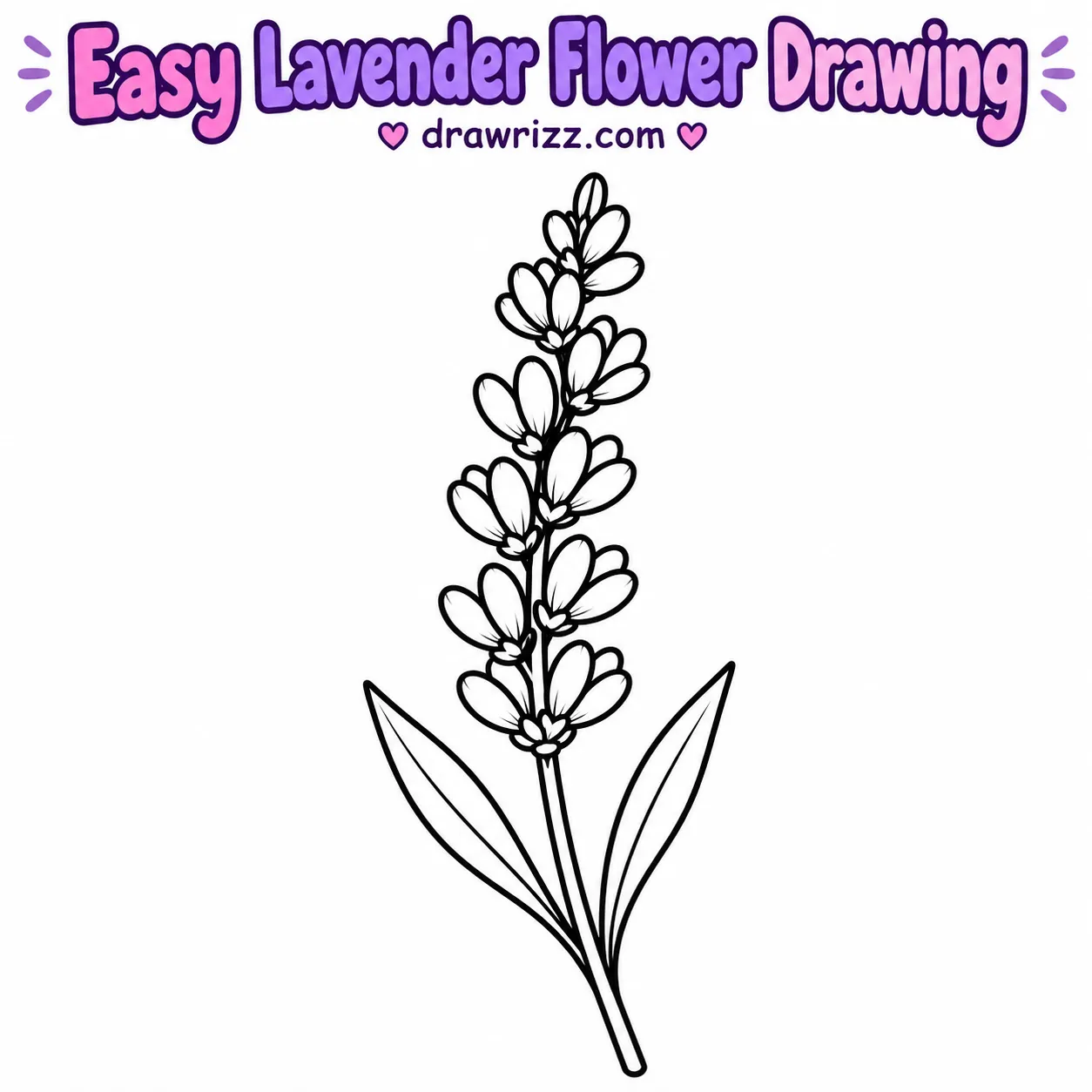 15 Lavender Drawing Ideas for Easy and Cute Flowers Lavender Drawing Ideas featuring an easy lavender flower with oval buds, curved stem, and two leaves in black line artwork.