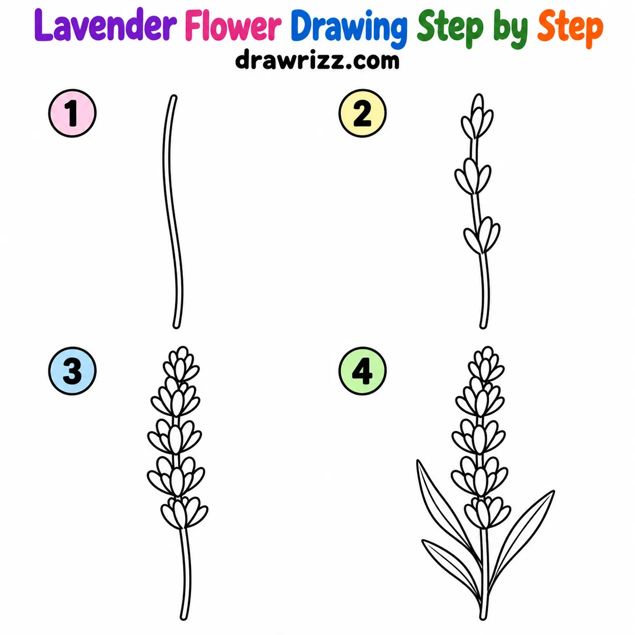 15 Lavender Drawing Ideas for Easy and Cute Flowers Lavender Drawing Ideas step-by-step guide with four easy black outline stages, from a simple stem to a full lavender sprig.