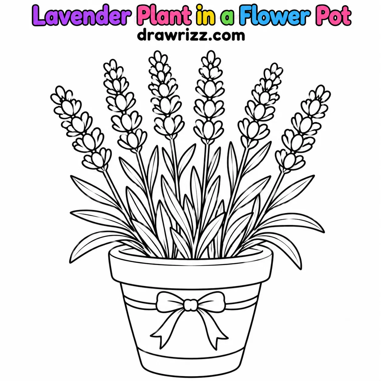 15 Lavender Drawing Ideas for Easy and Cute Flowers Lavender Drawing Ideas featuring six flowering stems in a cute bow-decorated pot, with bold black outlines for easy coloring