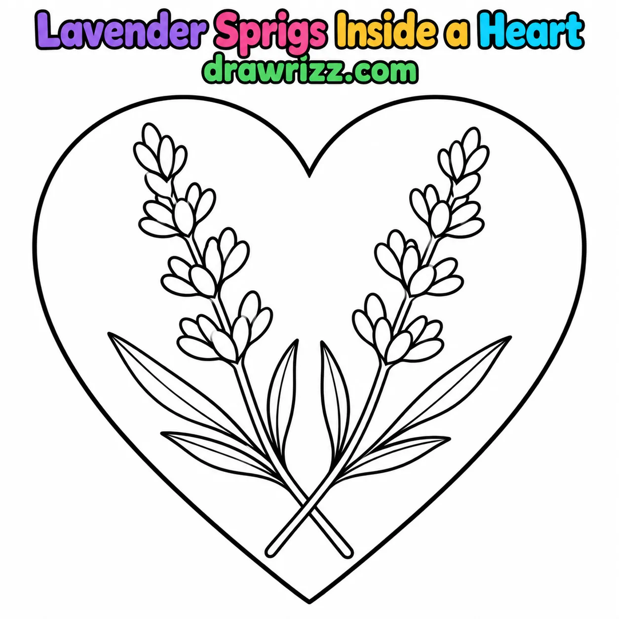 15 Lavender Drawing Ideas for Easy and Cute Flowers Lavender Drawing Ideas show two crossed lavender sprigs inside a heart, with oval buds and pointed leaves for easy coloring.