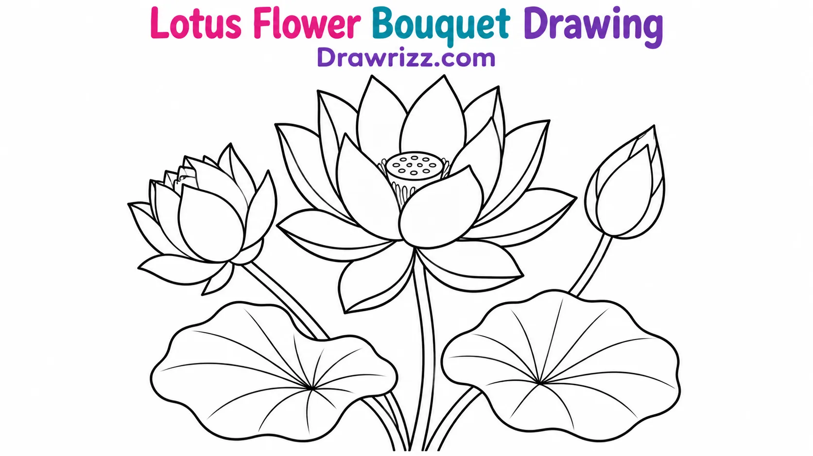 15 Easy Lotus Drawing Ideas for Beginners and Kids Lotus Drawing Ideas featuring three beautiful lotus blooms, curved stems, and two broad leaves in crisp black and white line art.