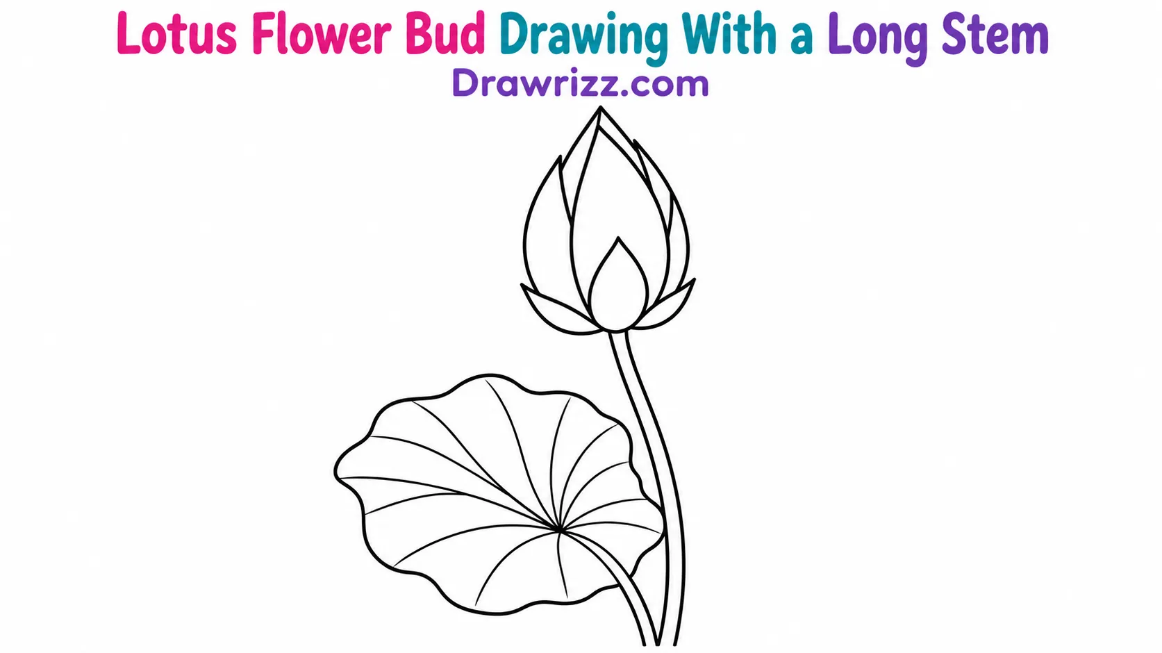 15 Easy Lotus Drawing Ideas for Beginners and Kids Lotus Drawing Ideas featuring an unopened flower bud, long curved stem, and broad veined leaf in clean black botanical line art.