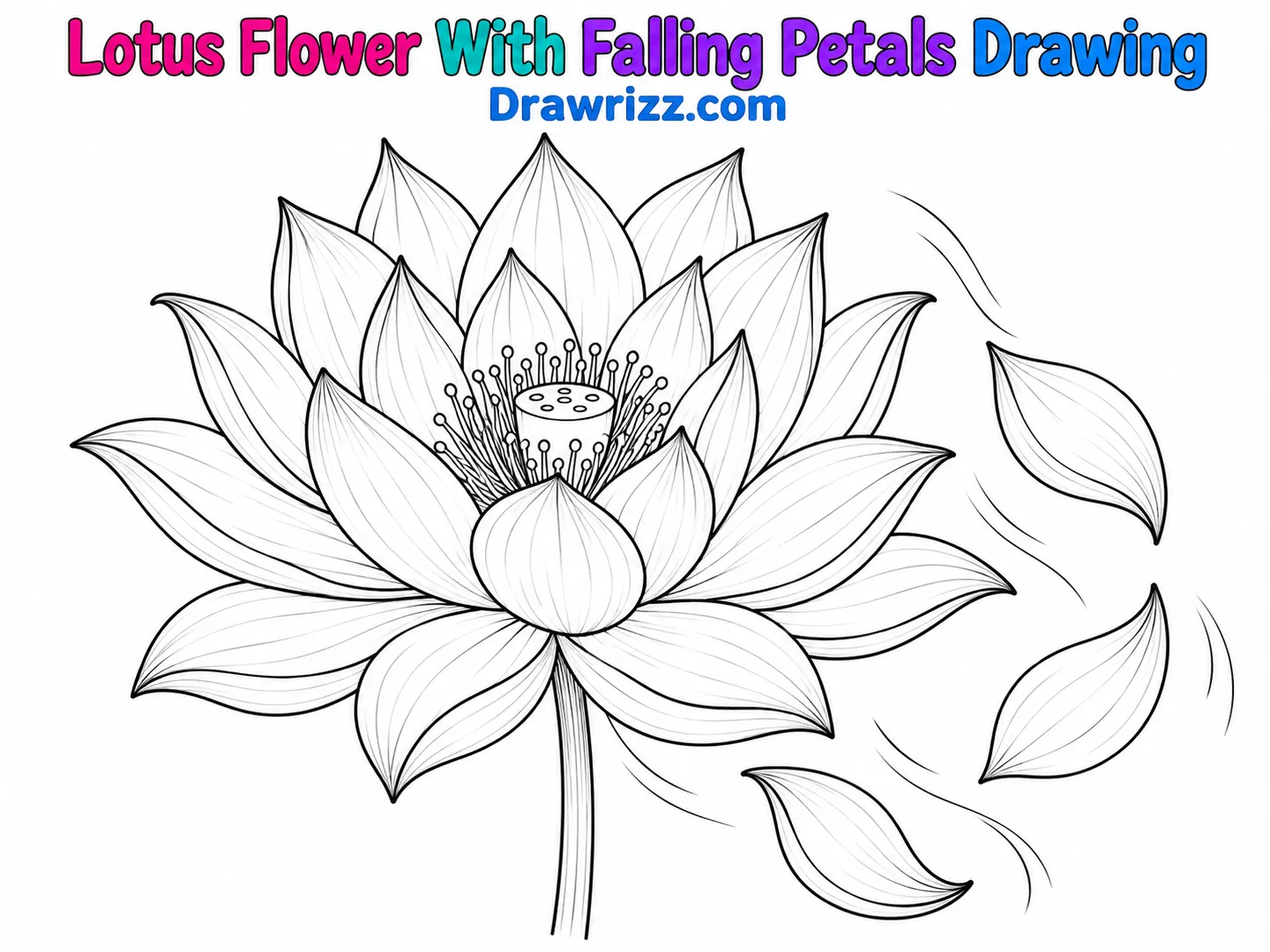 15 Easy Lotus Drawing Ideas for Beginners and Kids Lotus Drawing Ideas featuring a blooming lotus flower, three falling petals, curved breeze lines, and elegant black outlines