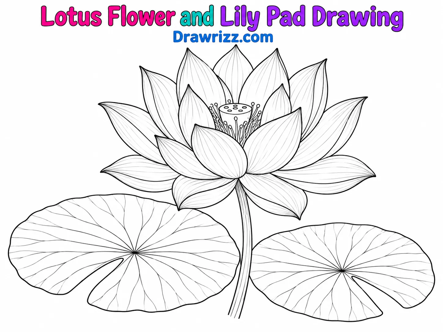 15 Easy Lotus Drawing Ideas for Beginners and Kids Lotus Drawing Ideas featuring a blooming lotus flower with pointed petals, a slim stem, and two veined lily pads in line art.
