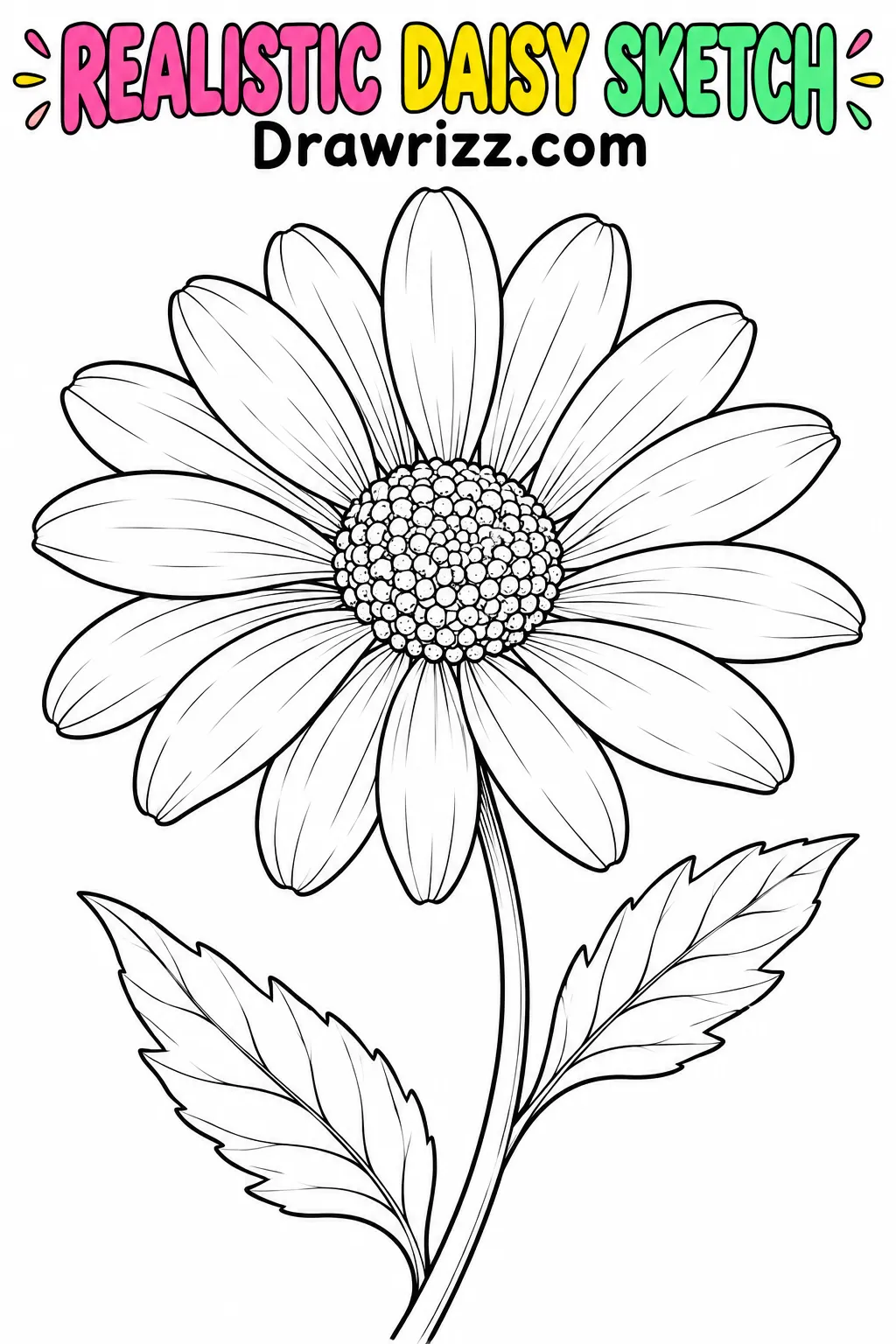 Daisy Drawing Ideas featuring a realistic daisy sketch with dotted center, delicate petals, curved stem and two leaves.