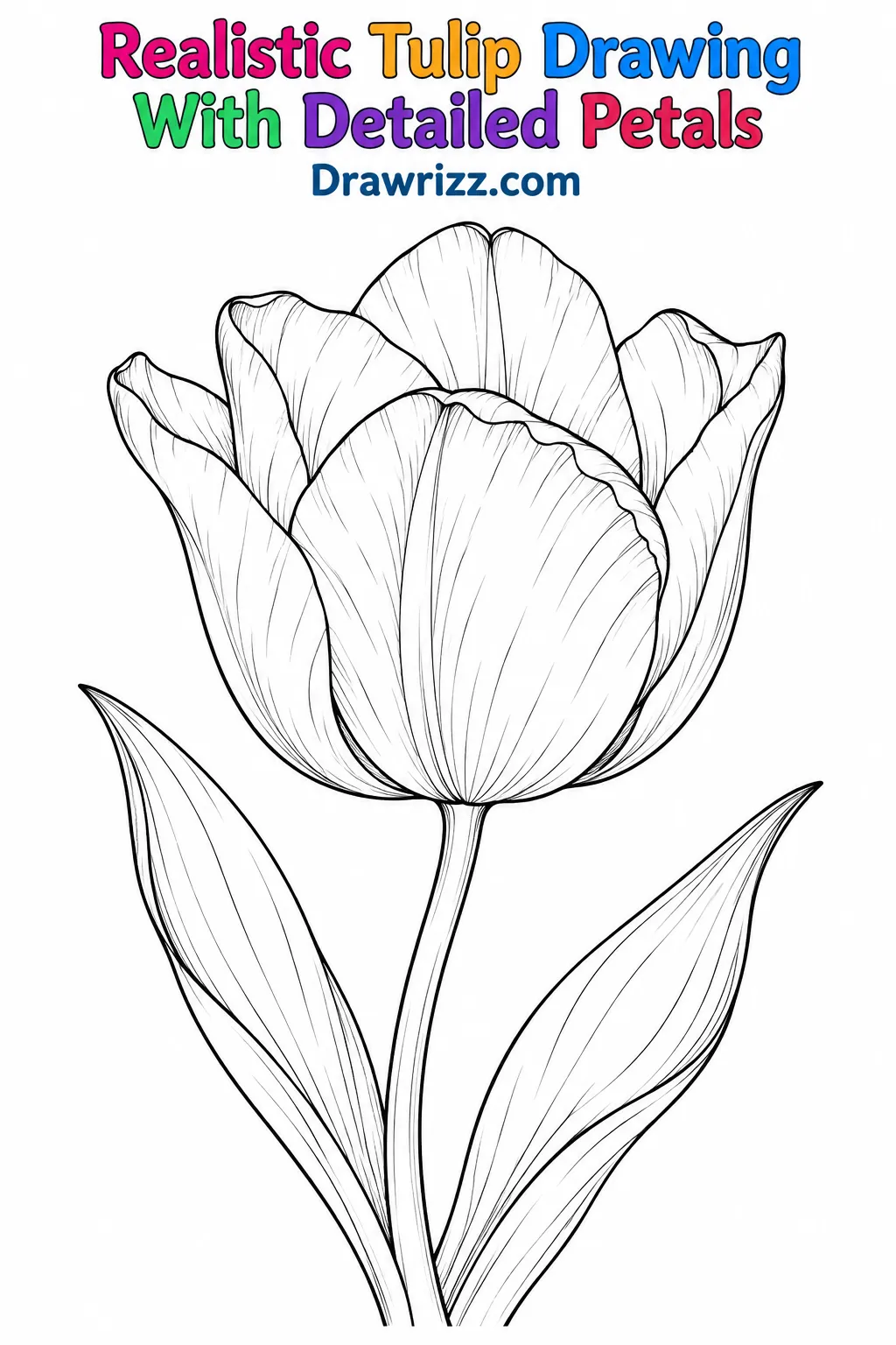 Tulip Drawing Ideas featuring a blooming tulip with layered petals, delicate contour lines, curved stem and two long leaves