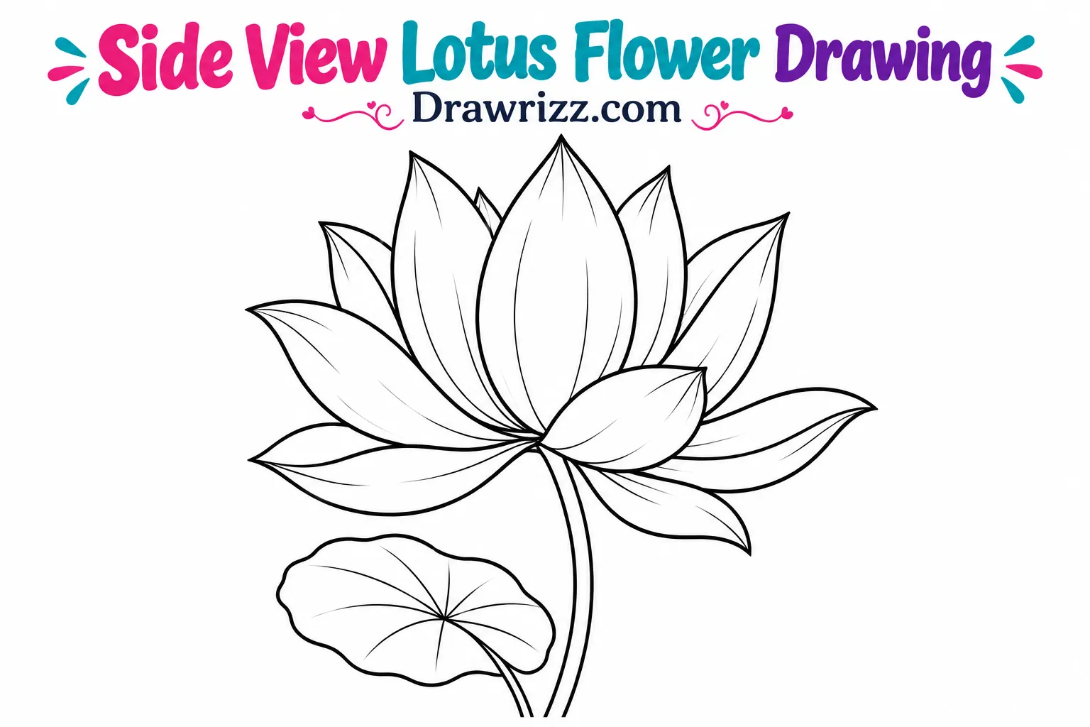 15 Easy Lotus Drawing Ideas for Beginners and Kids Lotus Drawing Ideas featuring a side view lotus flower with layered pointed petals, a long curved stem, and a small leaf art.