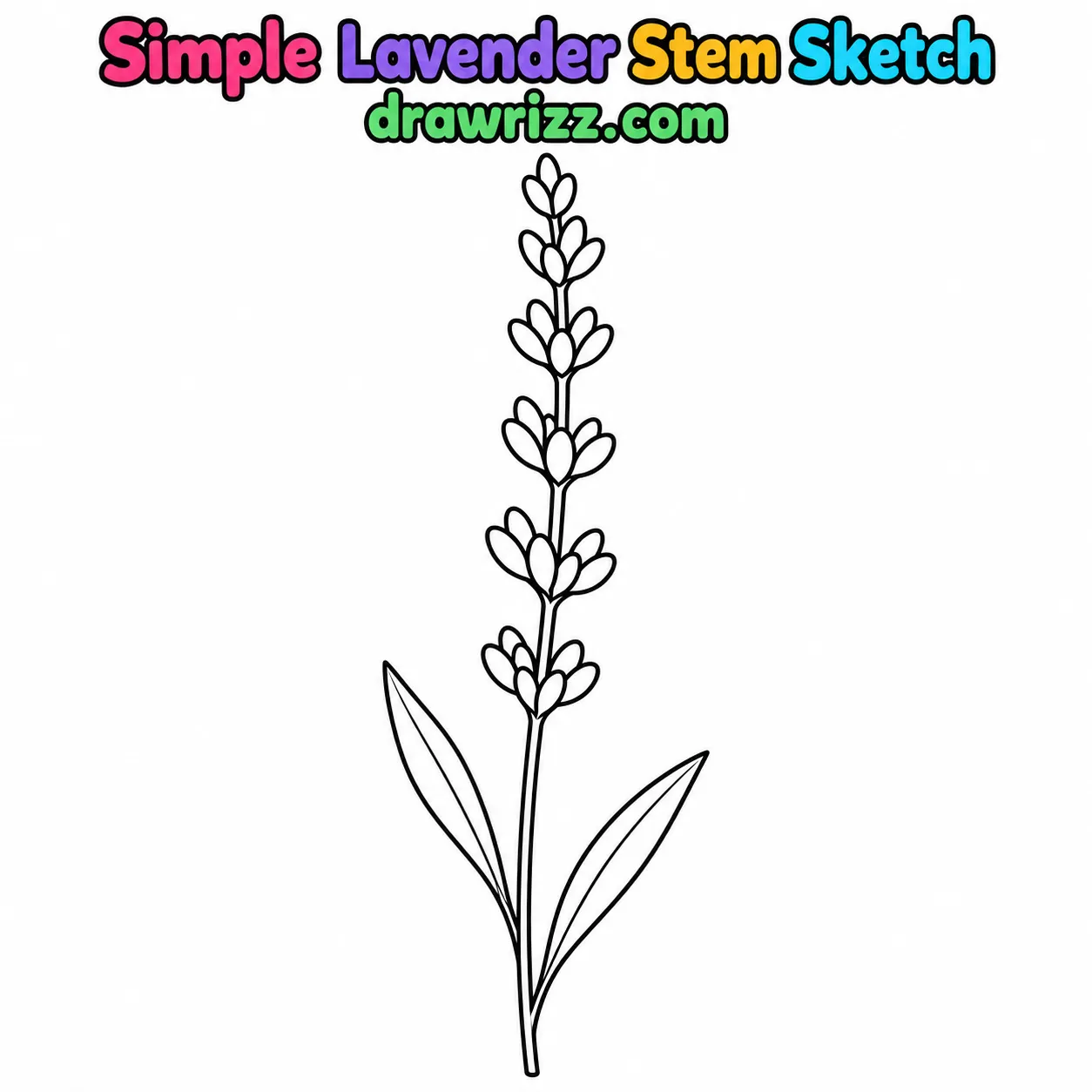15 Lavender Drawing Ideas for Easy and Cute Flowers Lavender Drawing Ideas featuring a simple lavender stem with outlined flower buds and two pointed leaves for easy coloring fun.