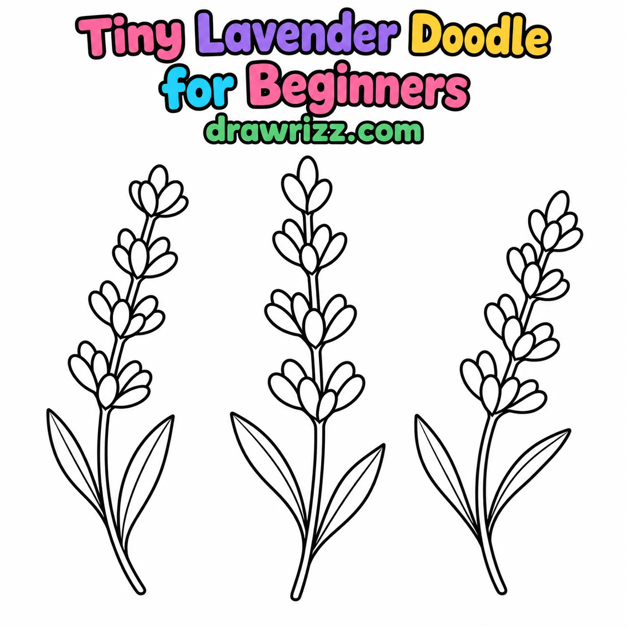 15 Lavender Drawing Ideas for Easy and Cute Flowers Lavender Drawing Ideas with three tiny lavender doodles, rounded buds, curved stems and pointed leaves for kids to color easily