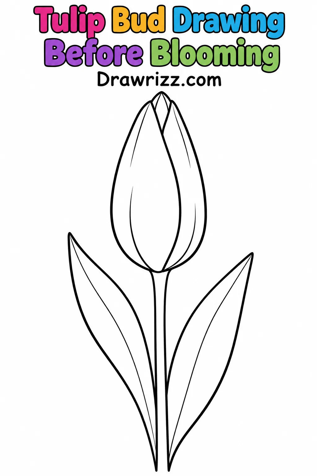 Tulip Drawing Ideas featuring an unopened tulip bud with pointed petals, a straight stem and two upright leaves to color in