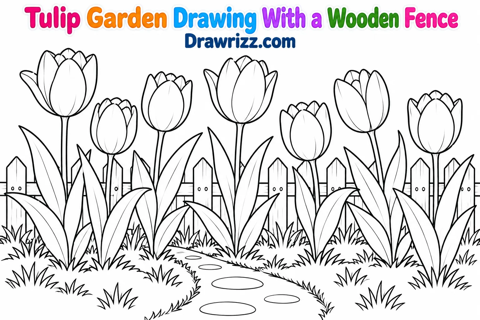 Tulip Drawing Ideas featuring seven blooming tulips, a wooden picket fence, curved garden path and grass in black and white